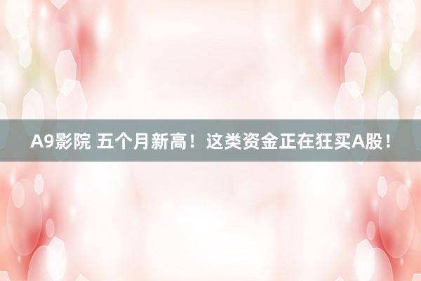 A9影院 五个月新高！这类资金正在狂买A股！