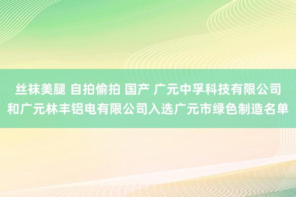 丝袜美腿 自拍偷拍 国产 广元中孚科技有限公司和广元林丰铝电有限公司入选广元市绿色制造名单