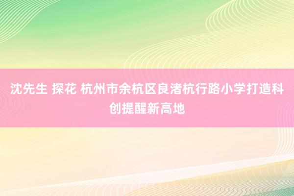 沈先生 探花 杭州市余杭区良渚杭行路小学打造科创提醒新高地